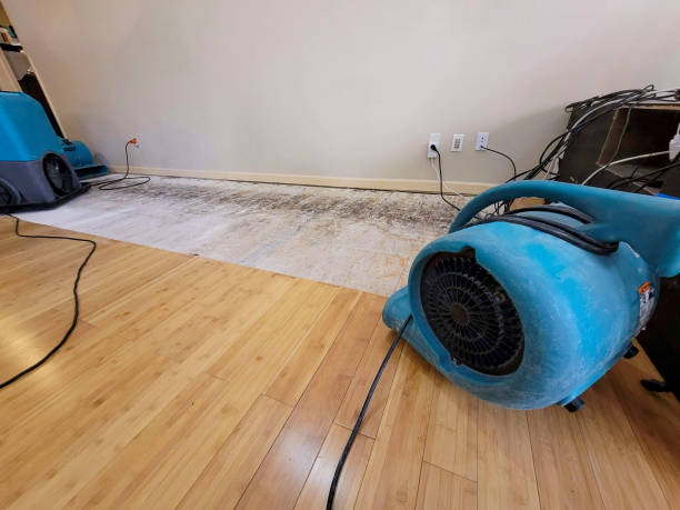 Professional Ceiling Water Damage Repair technician working in Freeburg, IL