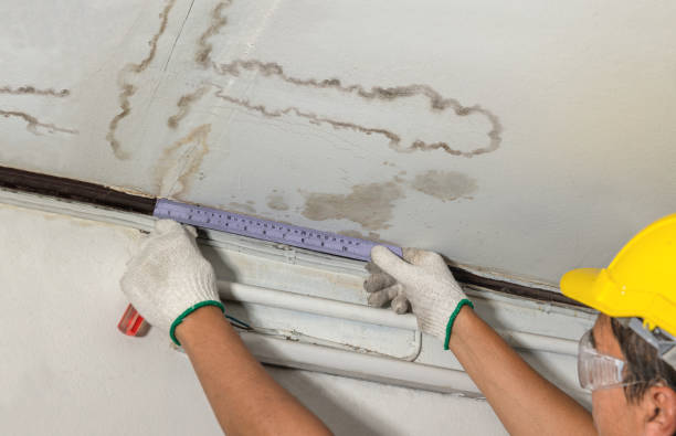 Affordable Ceiling Water Damage Repair solutions in Freeburg, IL